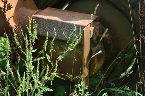 Property photo 192 - 21 Multiple Span Irrigation Pivots, Offered Individually or Combination - Irrigation Equipment Auction